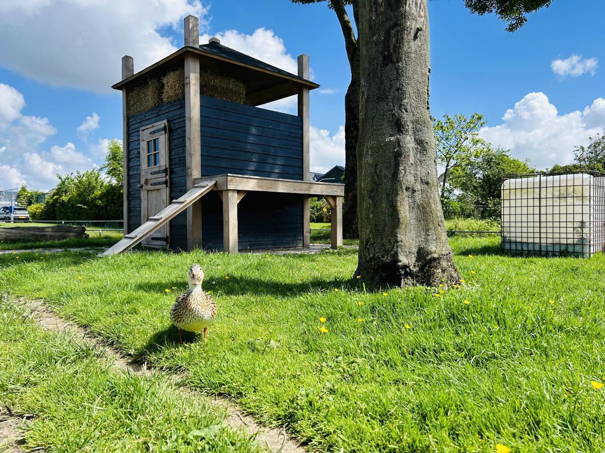 Bungalowpark De Horn - Floresta 215 Dirkshorn Exteriér fotografie